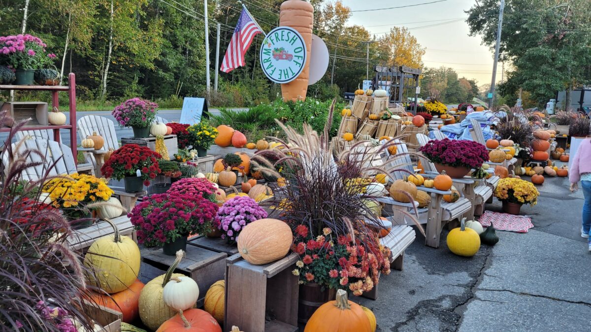 Déco d'automne