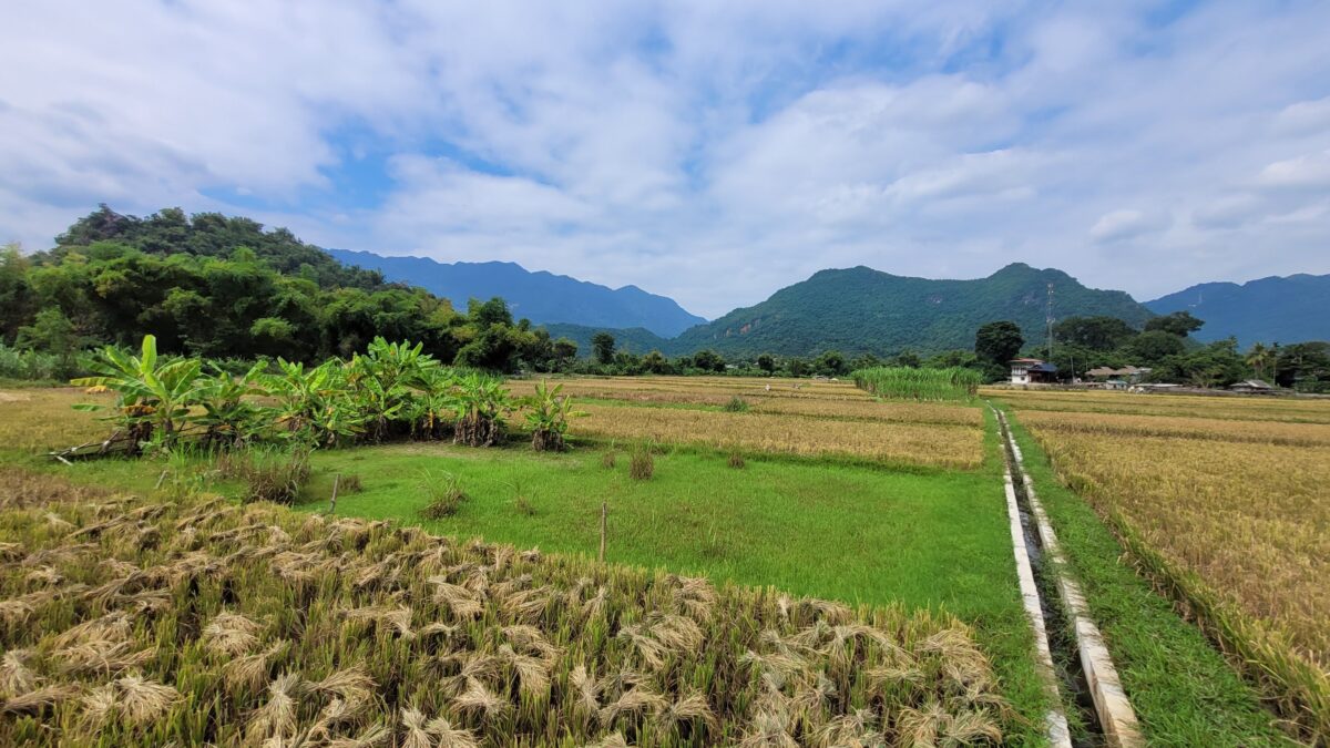 Mai Chau