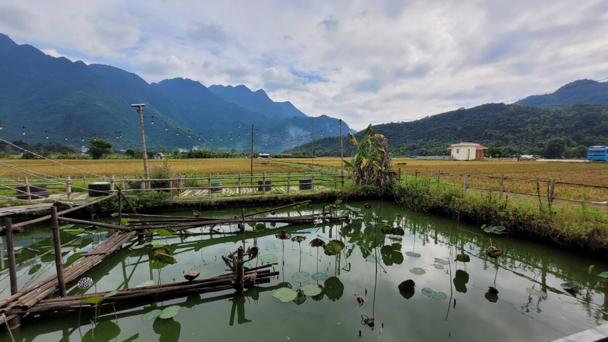 Mai Chau