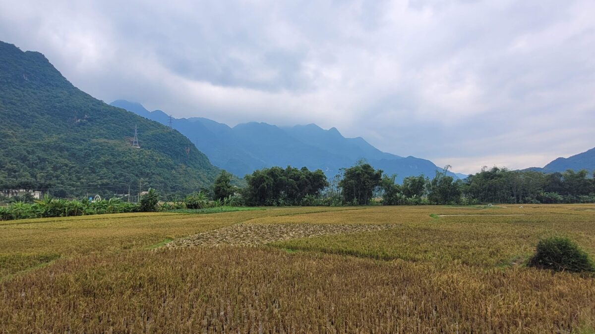 Rando au cœur de la vallée