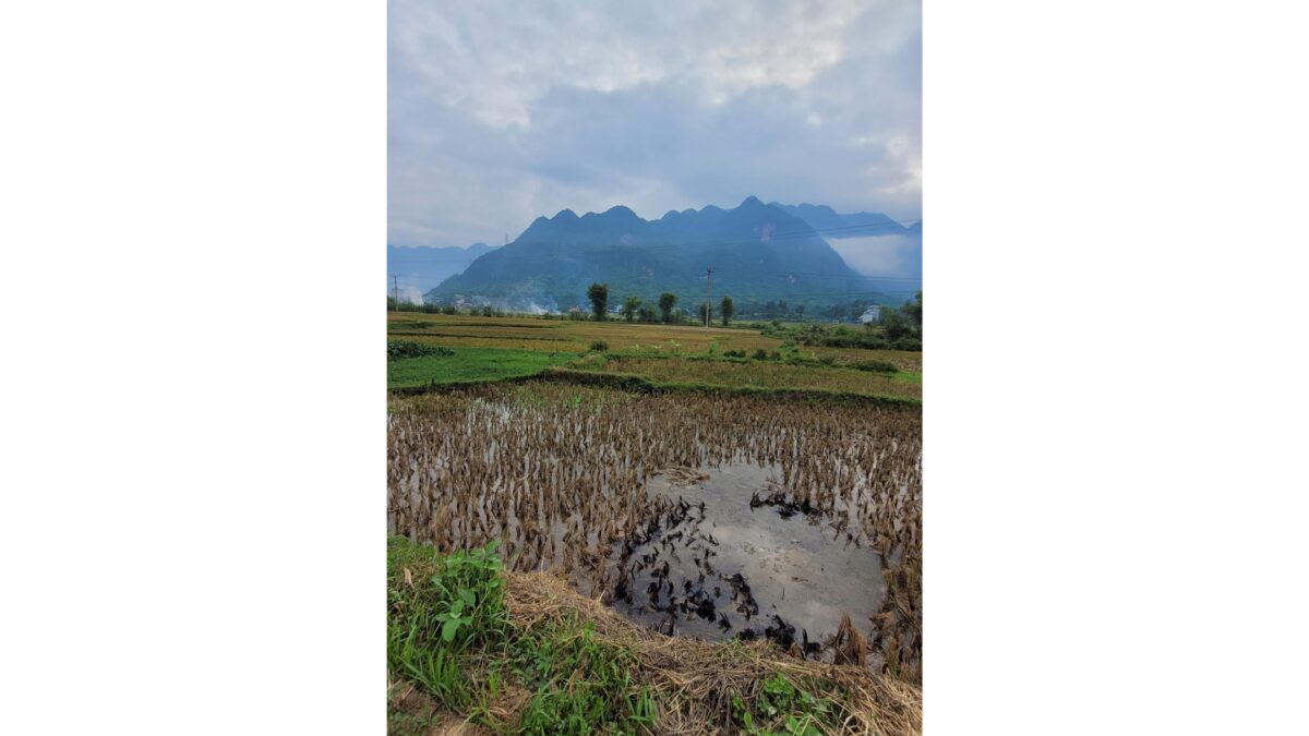 Mai Chau