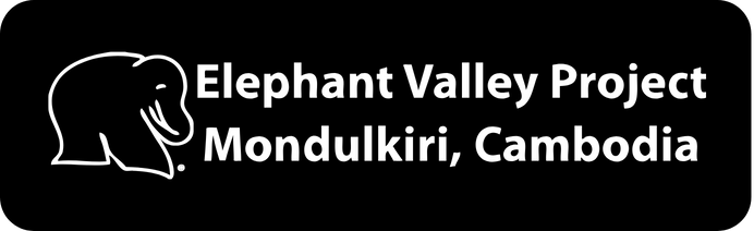 Elephant Valley Project - Mondulkiri, Cambodge